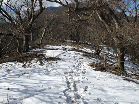 20160218hike (485)